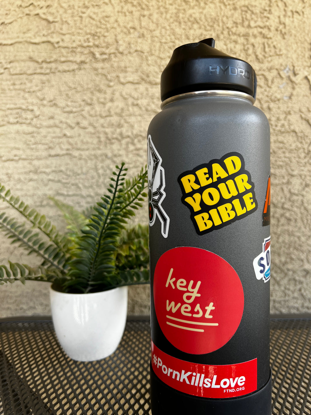 Read Your Bible Stickers - Small